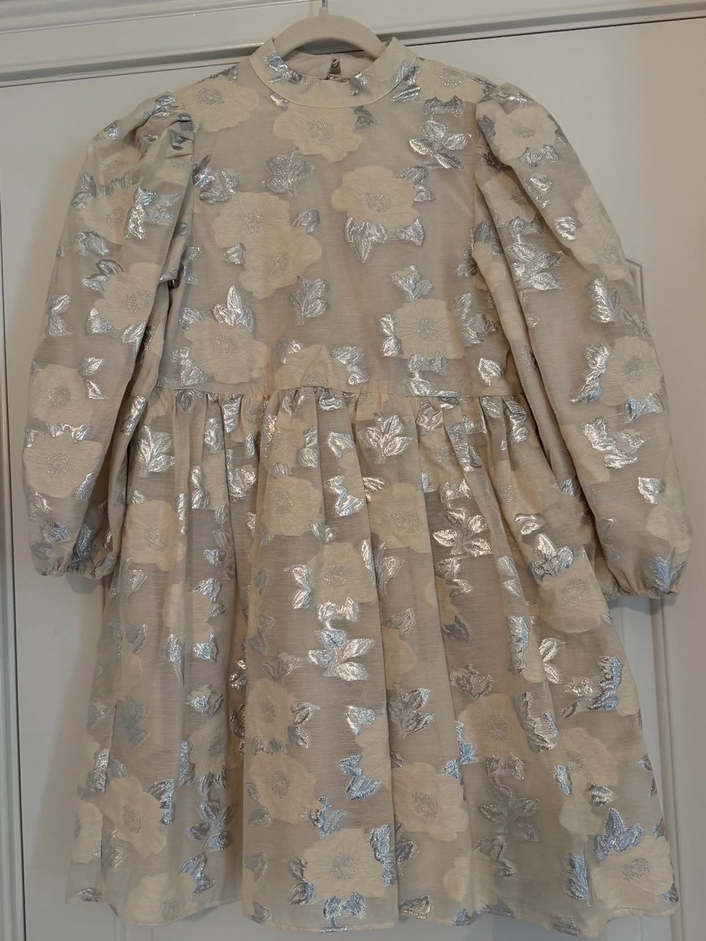 Dream Sister Jane Cream and Silver Metallic Floral Puff-Sleeve Dress
